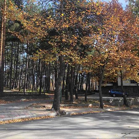 Appartamento Borov Park 1 Velingrad Esterno foto